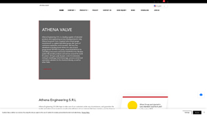 Athena Engineering - Ball Valves & Globe Valves