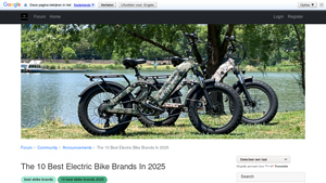 BeeCool Bikes - Full-Suspension Fat-Tire E-Bikes