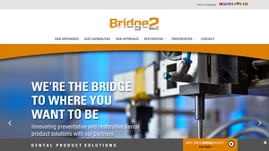 Bridge2 Dental - Custom Preventative & Restorative Products