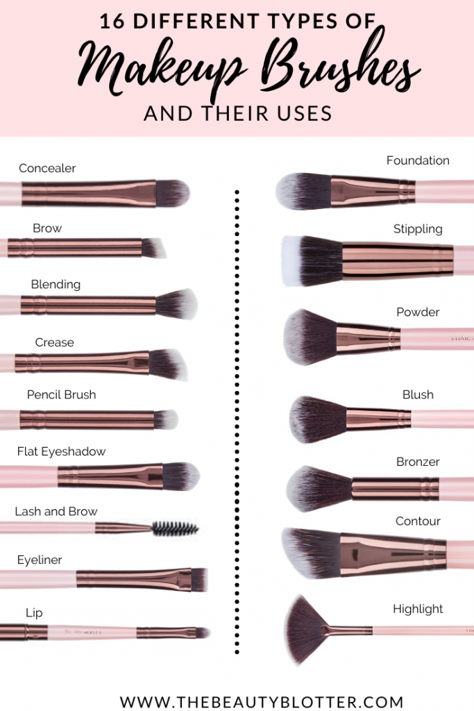 A relevant stock photo of brush types in a typical setting.