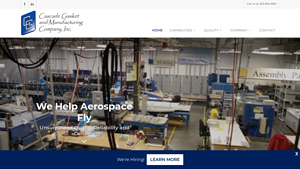 Cascade Gasket - Aerospace Elastomer Seals & Gaskets