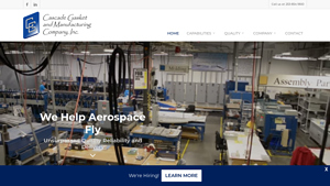 Cascade Gasket - Aerospace Elastomer Seals and Gaskets