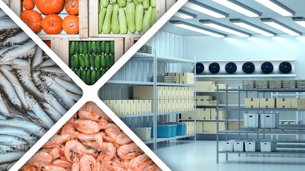 A relevant stock photo of cold room in a typical setting.