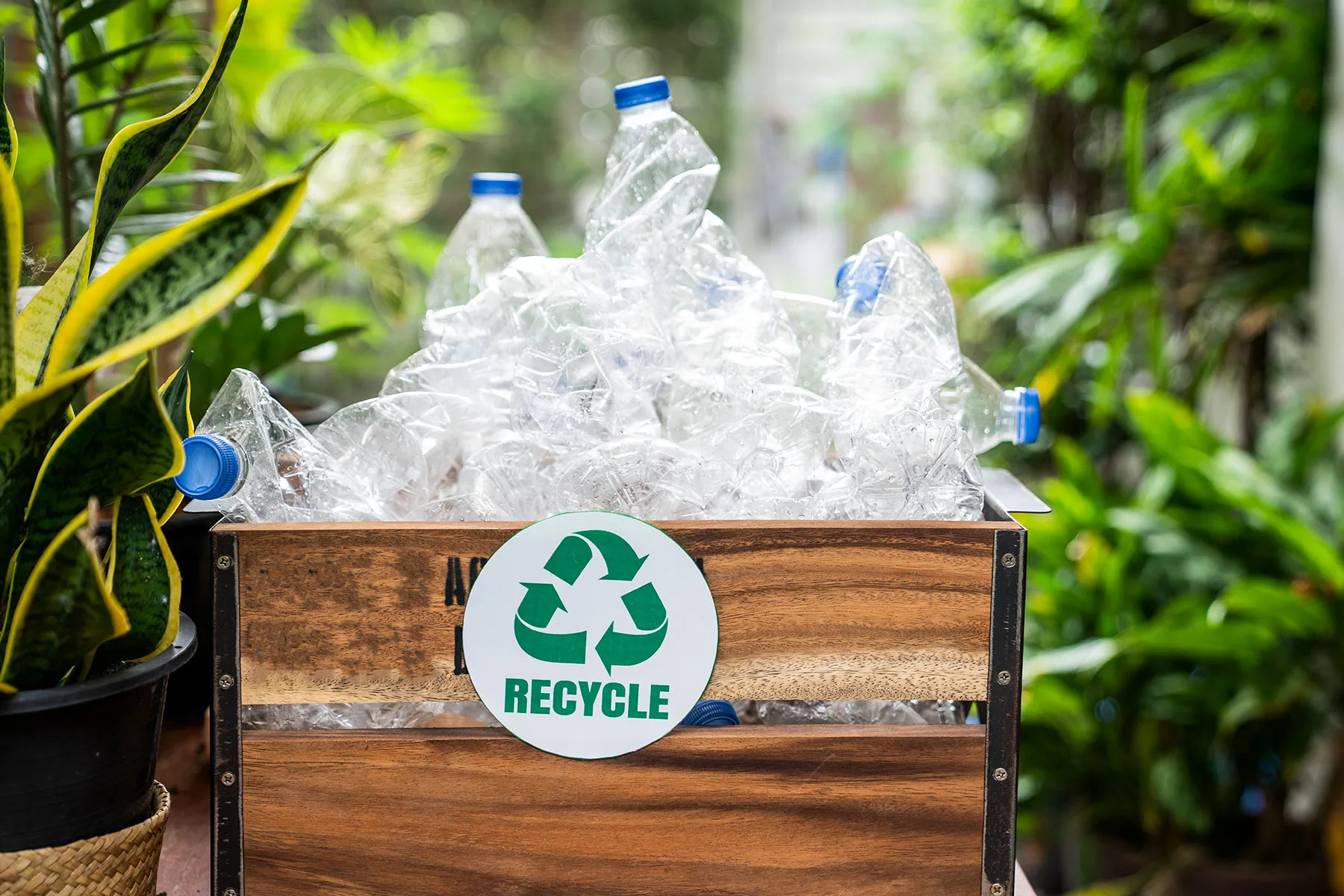 A relevant stock photo of plastic bottles in a typical setting.