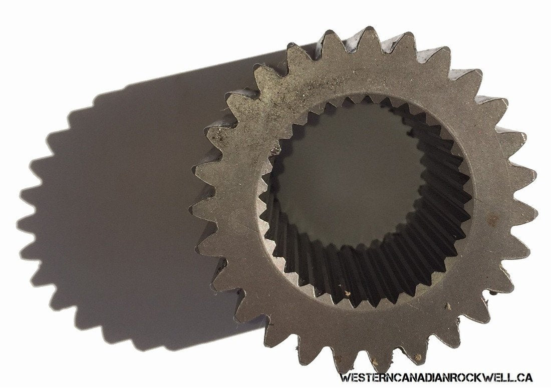 A relevant stock photo of sun gear in a typical setting.