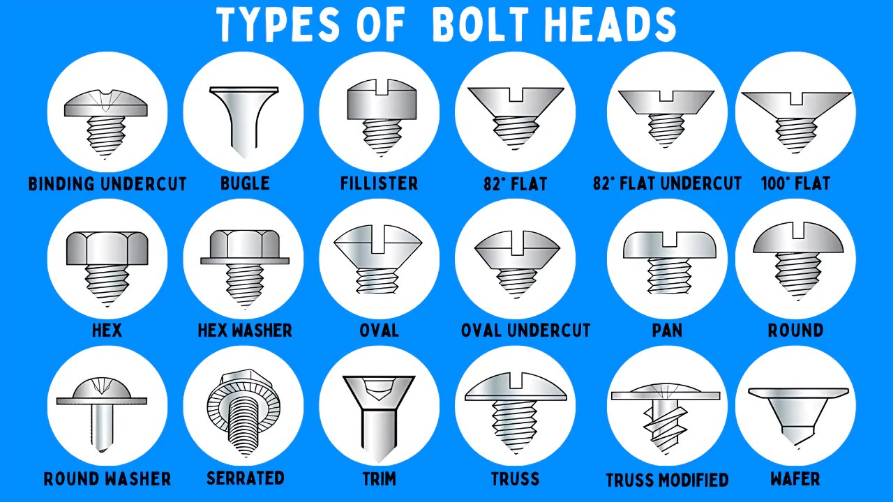 A relevant stock photo of types of bolt heads in a typical setting.