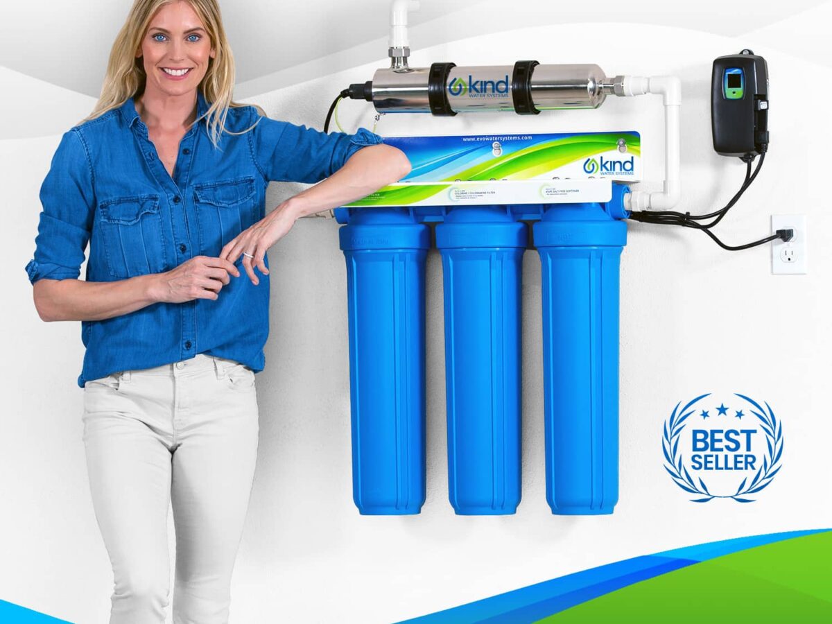 A relevant stock photo of water system filter in a typical setting.